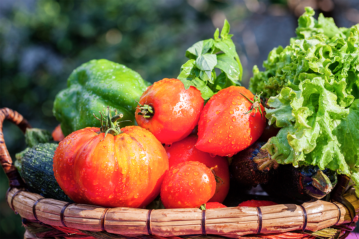 Smart Farm Technology